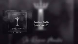 Sin raspar muebles  Cornelio Vega JR Audio original HQ [upl. by Noevad]