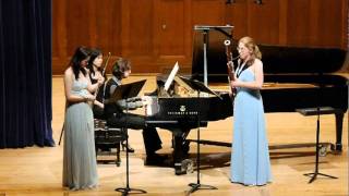 Beethoven  Trio for Flute Bassoon and Piano WoO 37 3rd Mov [upl. by Emelia]