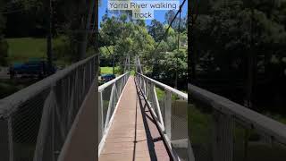 Yarra river walking trail [upl. by Ahsirpac312]