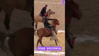 Yosh polvonla uzi kotarib uzi bosdi 🏇🏇💪💪💪 samarqand horse lak rek ot лошади axiles shorts [upl. by Hadwyn]