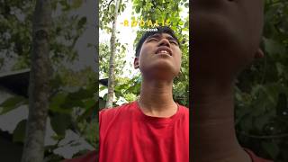 rodali cover song 🎵 ♥️ probinborah cover assamesecoversong [upl. by Ihtac685]