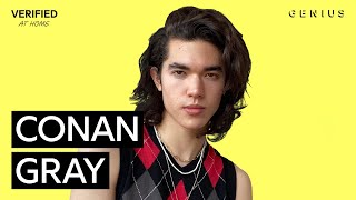 Conan Gray quotHeatherquot Official Lyrics amp Meaning  Verified [upl. by Olimreh]