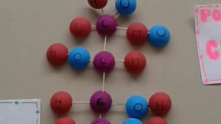 monómero de glucosa y polímero de celulosa [upl. by Asilem455]
