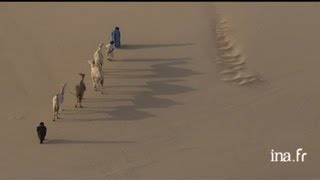 Mauritanie  dunes de sable quatre dromadaire [upl. by Efal]