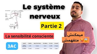 3AC  Le système nerveux  Partie 2  تبسيييييييط خياااااالي  La sensibilité consciente 🥵✅ [upl. by Haggai]