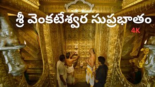 Suprabhatam  Venkateswara Swamy  సుప్రభాతం  Trendy Trends MK [upl. by Ugo]