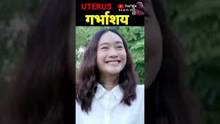 Female uterus anatomy uterus​ womb​ antomy​ गर्भाशय​ बच्चादानी​ [upl. by Charin199]