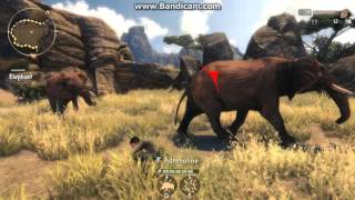 cabelas african adventure elephant hunt in rocks [upl. by Ellednahs]