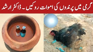 Helping Chickens to Beat the Summer Heat  Stop Chicken Mortalities  Dr ARSHAD [upl. by Enoob200]