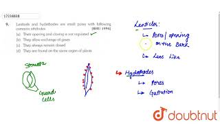 Lenticels and hydathodes are small pores with following common attributes [upl. by Negris]