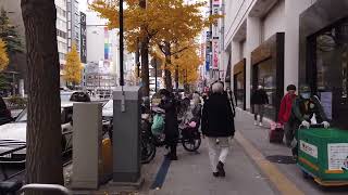 Tokyo in Autumn Japan 4K 2160p [upl. by Hanima]