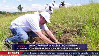 Banco Popular impulsa el ecoturismo con siembra de 4300 árboles en La Sierra [upl. by Suoivatram560]