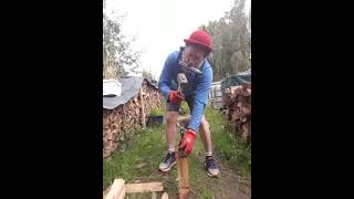 quot Wooden Heart quot  Harmonica Playing While Lumberjacking 20240615Take3  shortsvideo [upl. by Perron]