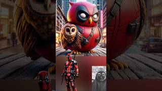 Superheroes but owls 🔥💥Marvel amp DCAll Characters avengers marvel spiderman shorts [upl. by Nayrbo]