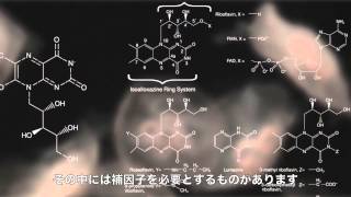 タカラバイオ Thats Good Science GFP [upl. by Silvana]