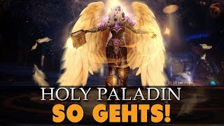 Mega DPS amp HPS Maschine  Holy Paladin Guide 80 Deutsch [upl. by Leftwich]