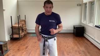 Shoulder Pull amp Headlock Defense [upl. by Rolfe]