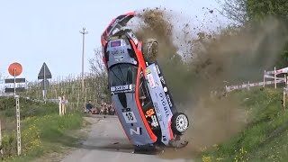 Best of Rally 2024  BIG CRASHES amp FLAT OUT [upl. by Honeywell]