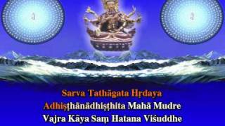 Uṣnīṣa Vijaya Dhāraṇīdivx [upl. by Aicxela]