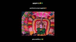 Murugan songsivakarthikeyantrading [upl. by Shelton]