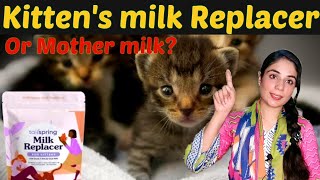 Can we use milk replacer for kittens cat milk k sath kia milk replacer bhi kittens ko dy skty hai [upl. by Namad154]