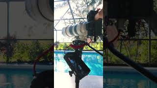 Why EVERY Sports Videographer Needs This Monopod Cayer FP34 Monopod Review [upl. by Adnema]