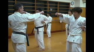 Kihon in IKO Honbu Dojo in Tokyo 2011 [upl. by Annahahs]