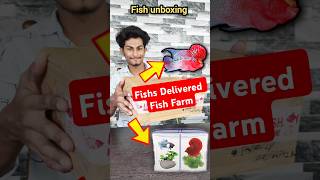 💥Fishs Delivered Breeder Fish Farm🤯🔥😱fish fishunboxing telugu pets fishfarming [upl. by Sirahc]