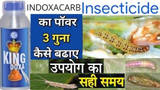 King Doxa insecticide  Indoxacarb 145 Sc  Gharda king doxa insecticideBrinjal insects control [upl. by Eelarbed216]