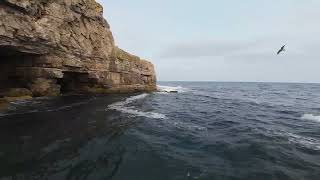 Seacombe Cliff Explore Purbeck Dorset [upl. by Aldwin]