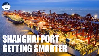 Shanghai Port How automated is it to handle 143000 TEUs per day [upl. by Ardnasil]