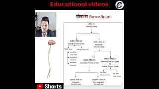 Nervous Control amp Coordination 01  Cells of Nervous System amp Nerve Impulse Conduction  11  NEET [upl. by Nrehtak]