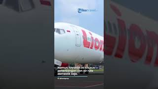 Mau Bawa Hewan Peliharaan Naik Pesawat Ini Syarat amp Tarif Bawa Hewan Peliharaan di Pesawat Lion Air [upl. by Eidorb]