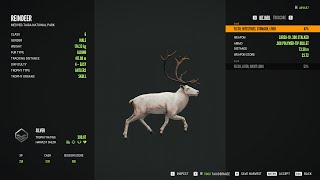 Reindeer  2Albino  theHunter Call of the Wild 2024 07 02 [upl. by Nytsirk]