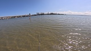 Fishing the entrance NSW [upl. by Shirlie]