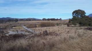 The Murrumbidgee Bunyip [upl. by Analaj]