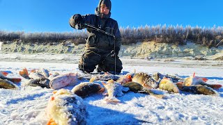 РВУТСЯ ЛЕСКИ ГНУТСЯ БАГРЫ ПЕРВЫЙ ЛЁД ЯКУТИИ ЗИМНЯЯ РЫБАЛКА [upl. by Timon]