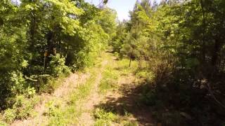 103 Acres amp Cabin For Sale In Clay County Alabama [upl. by Hgielsa]