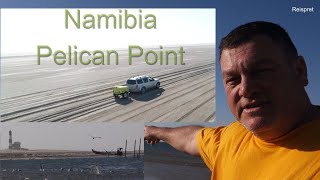 Namibia 2024 Walvis Bay Pelican Point [upl. by Forkey]