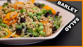 Healthy Barley Salad Ready in a few Minutes [upl. by Hellah]