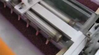 PN20 High Speed Vegetable Seedling Machine [upl. by Nidla]