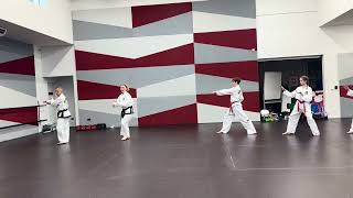 ITF Patterns Ge Baek Choong Moo and Hwarang Tul during VRMA black belt grading in NZ [upl. by Uke]