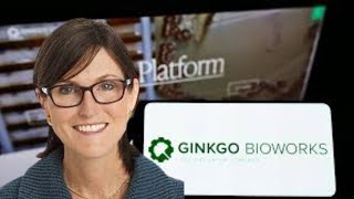 Cathie Woods Keeps Buying Up Ginkgo Bioworks Stockl – Is She Onto Something [upl. by Ariahs]