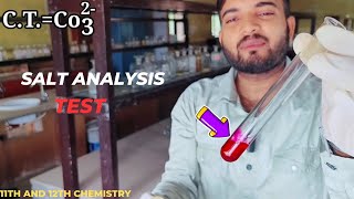 salt analysis confirmatory CT test for Carbonate ion 11th and 12th chemistry saltanalysis [upl. by Dulcea11]