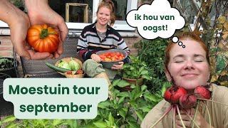 MOESTUIN TOUR september  Oogst met mij  moestuin in een rijtjeshuis [upl. by Loren]