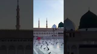 Ya Raba Mustaa TU mja Hajj Pa Bolanaat youtubeshorts trending [upl. by Kanal]