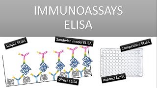 The Principle of Immunoassays ELISA Enzyme Linked Immunosorbent Assay [upl. by Austreng376]