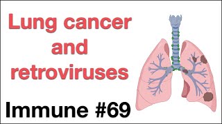 Immune 69 Lung cancer and retroviruses [upl. by Annehsat]