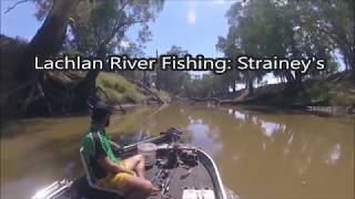 Lachlan River Fishing 2019 [upl. by Gnihc]