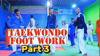 Taekwondo foot Work With Sabom Gezish part 3 [upl. by Harhay]